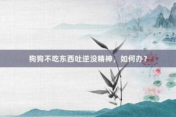 狗狗不吃东西吐逆没精神，如何办？